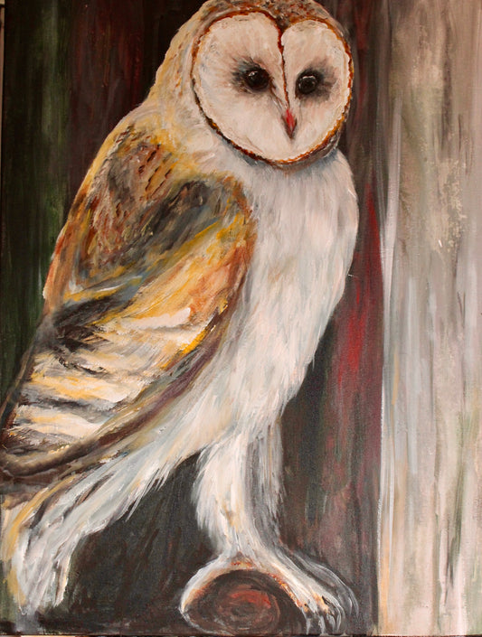 Barn Owl