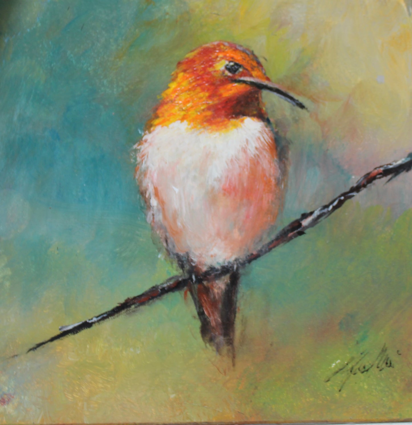 Rufous Hummingbird
