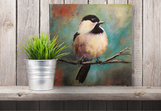 Chickadee in Color